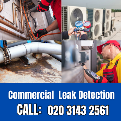 Commercial Leak Detection Services in Stratford | Stratford Leak Detection