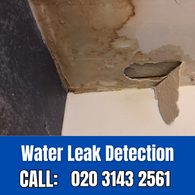 Expert Water Leak Detection Services in Stratford | Stratford Leak Detection